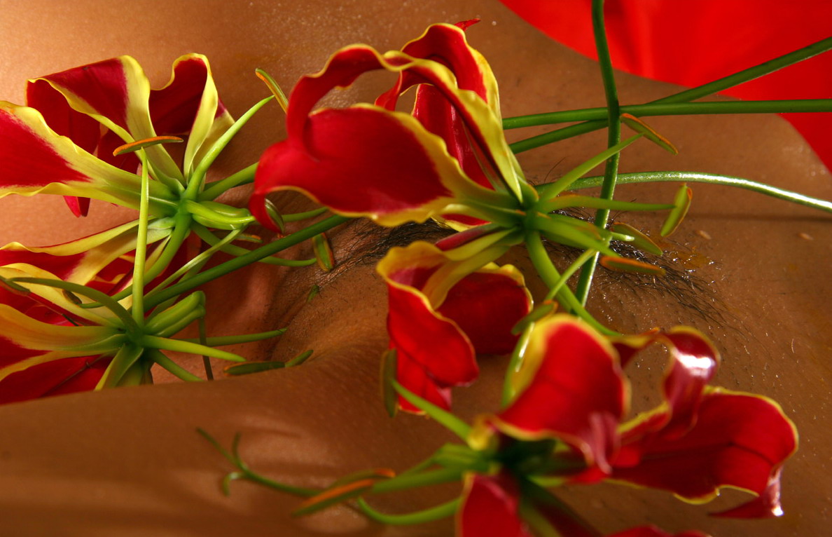 ���������