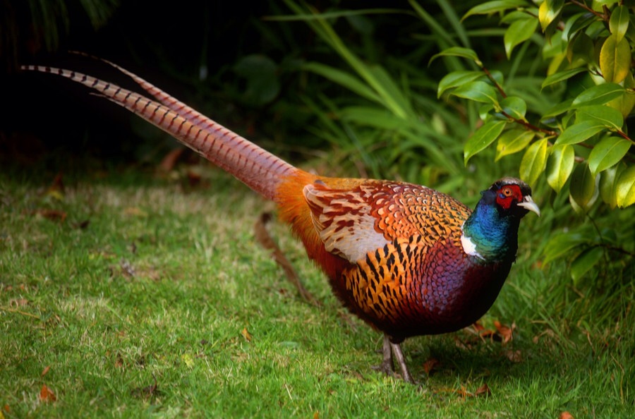 ���������