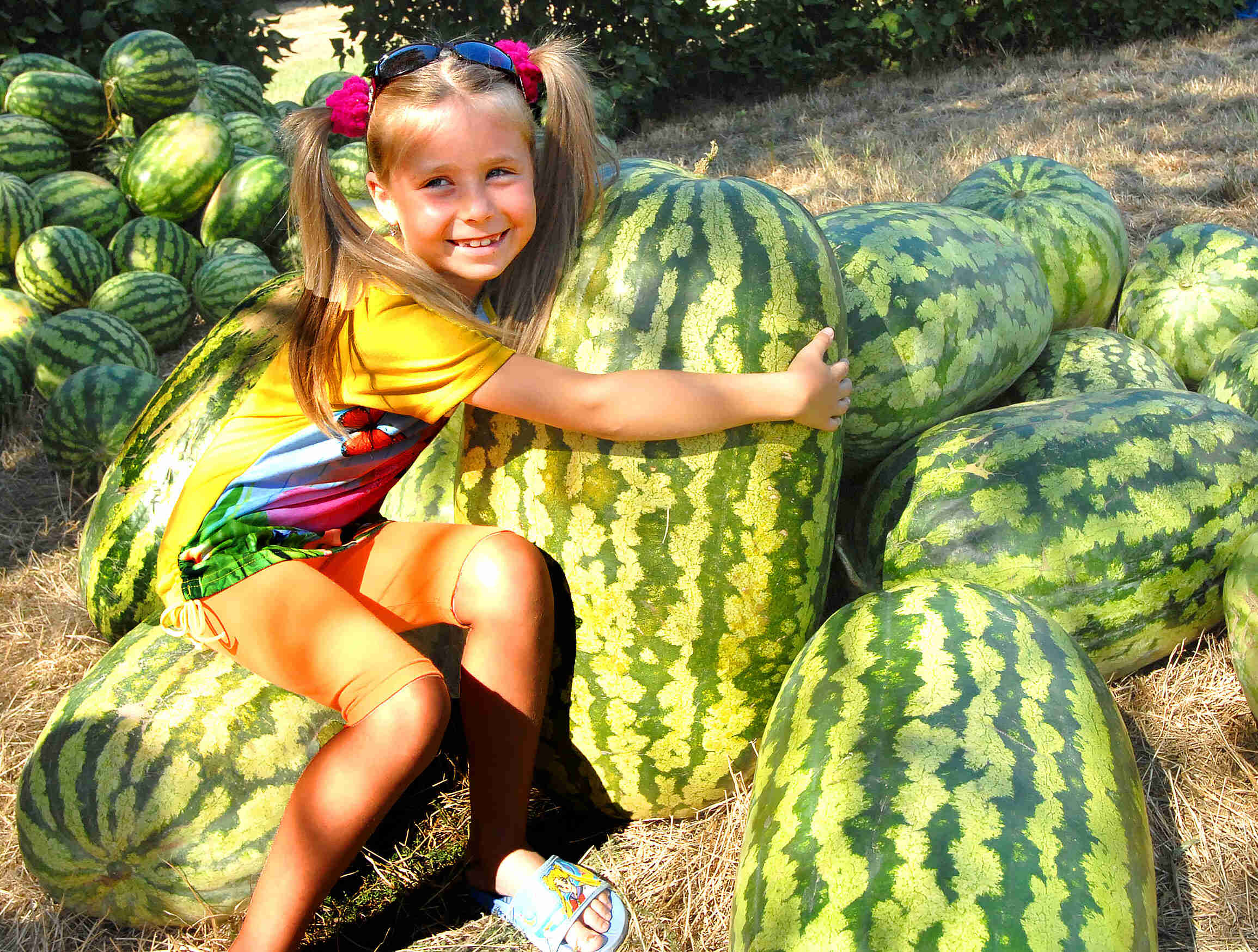 ���������