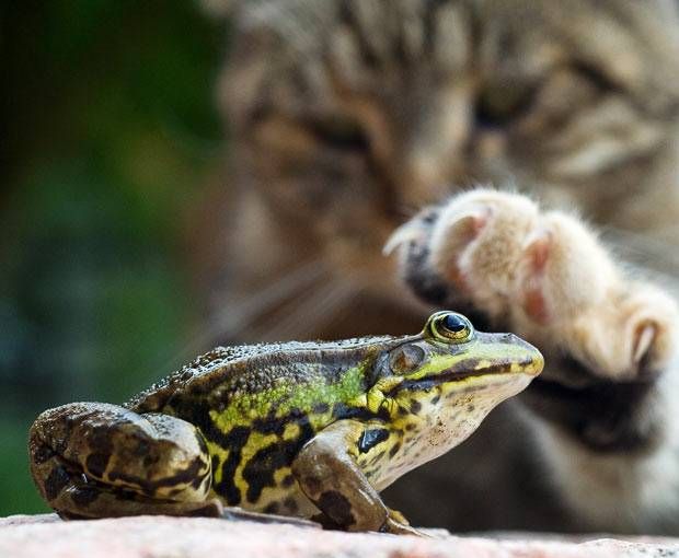 ���������