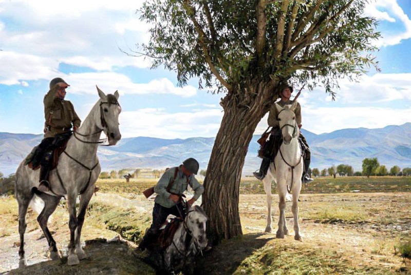 ���������