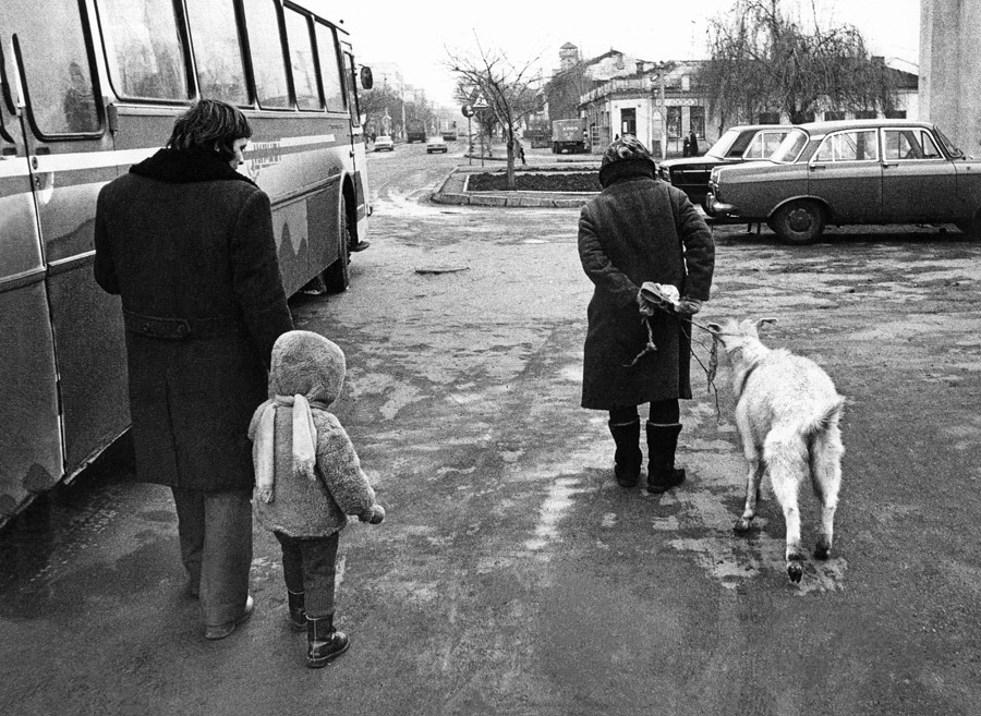 ���������