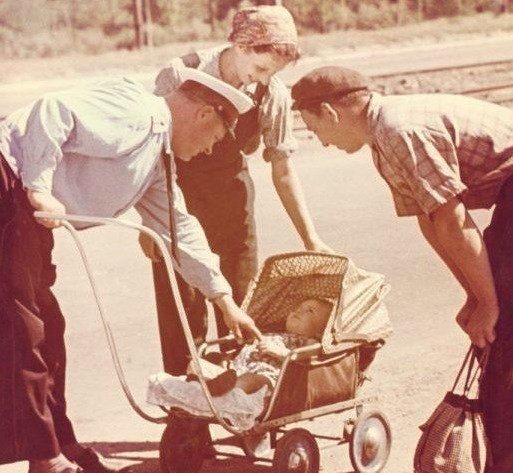 ���������