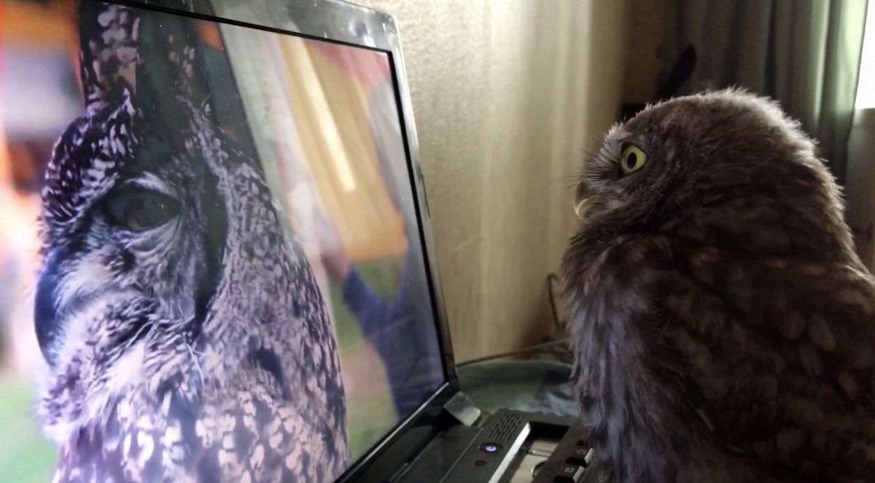 ���������