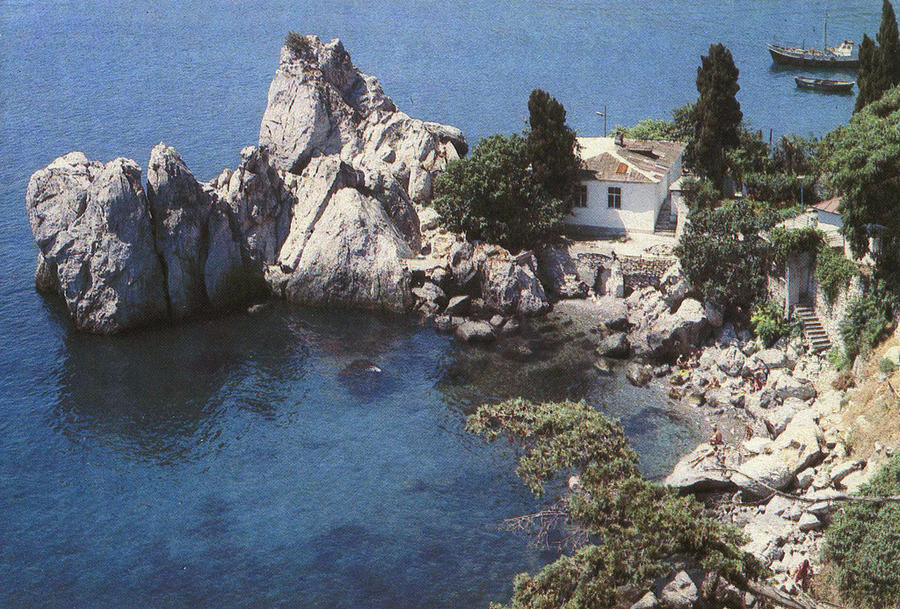 ���������