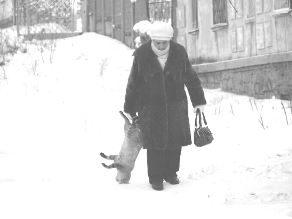 ���������