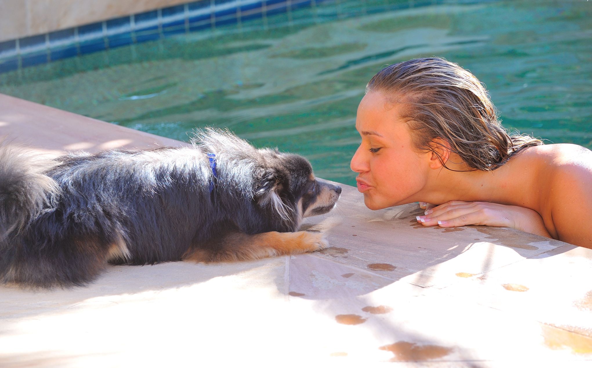 ���������