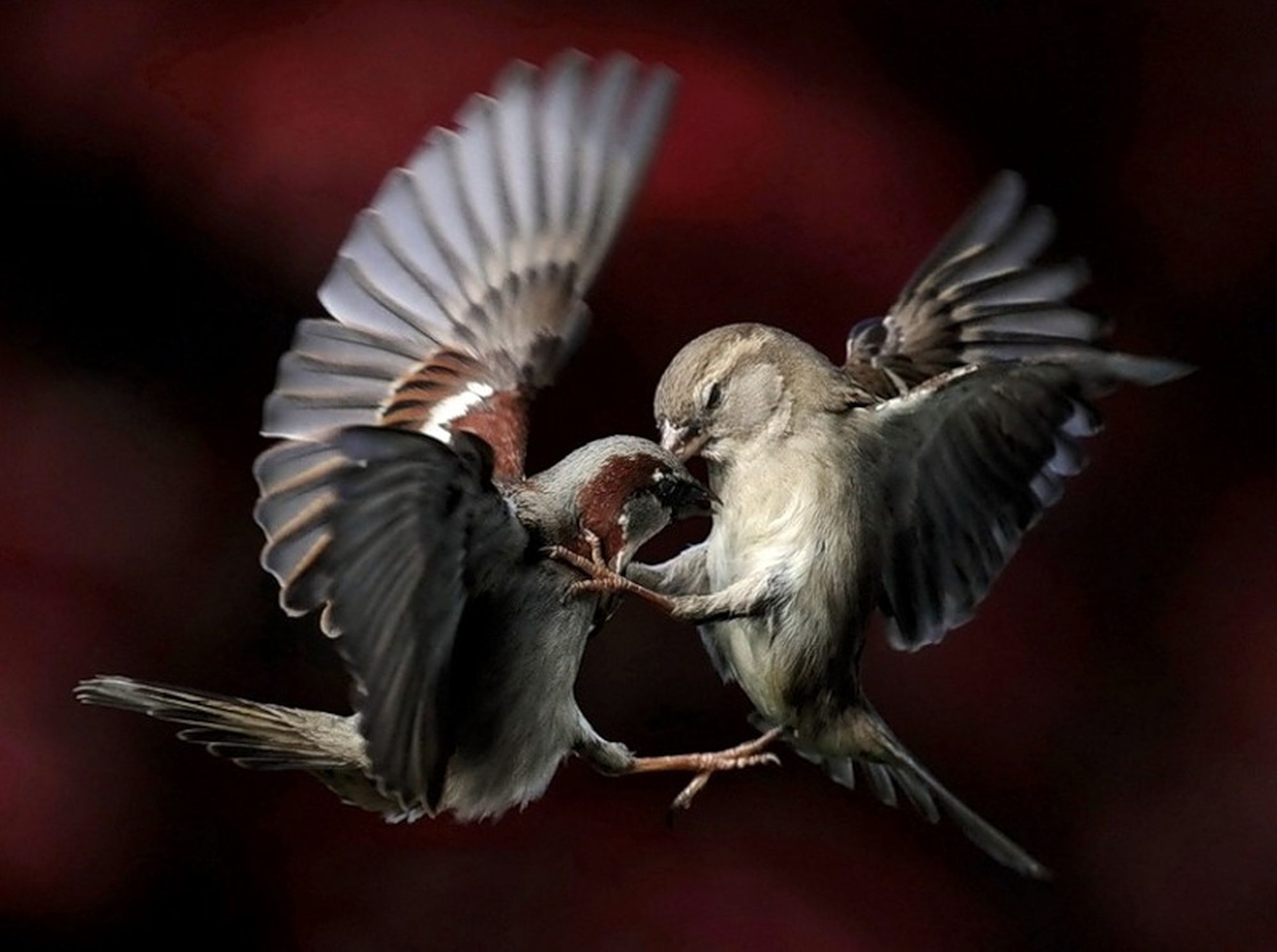 ���������