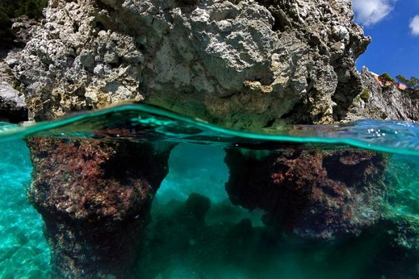 ���������