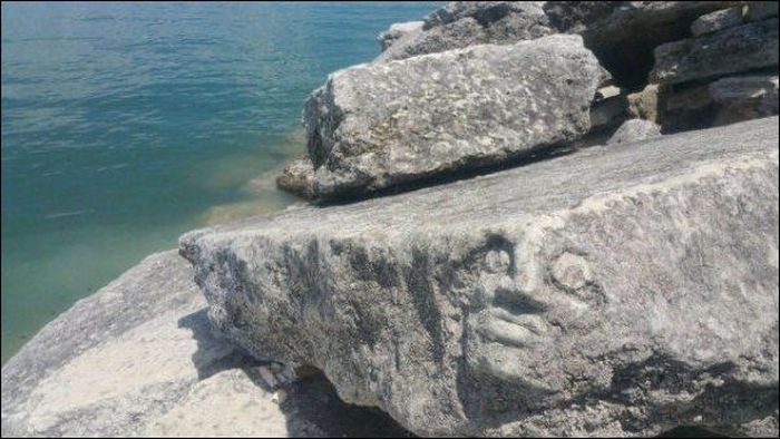 ���������