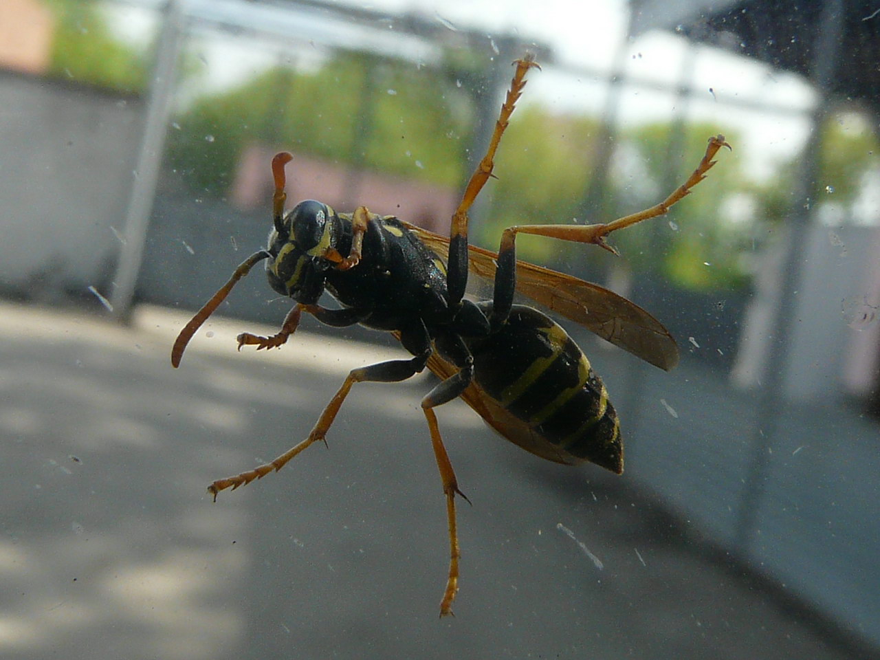 ���������