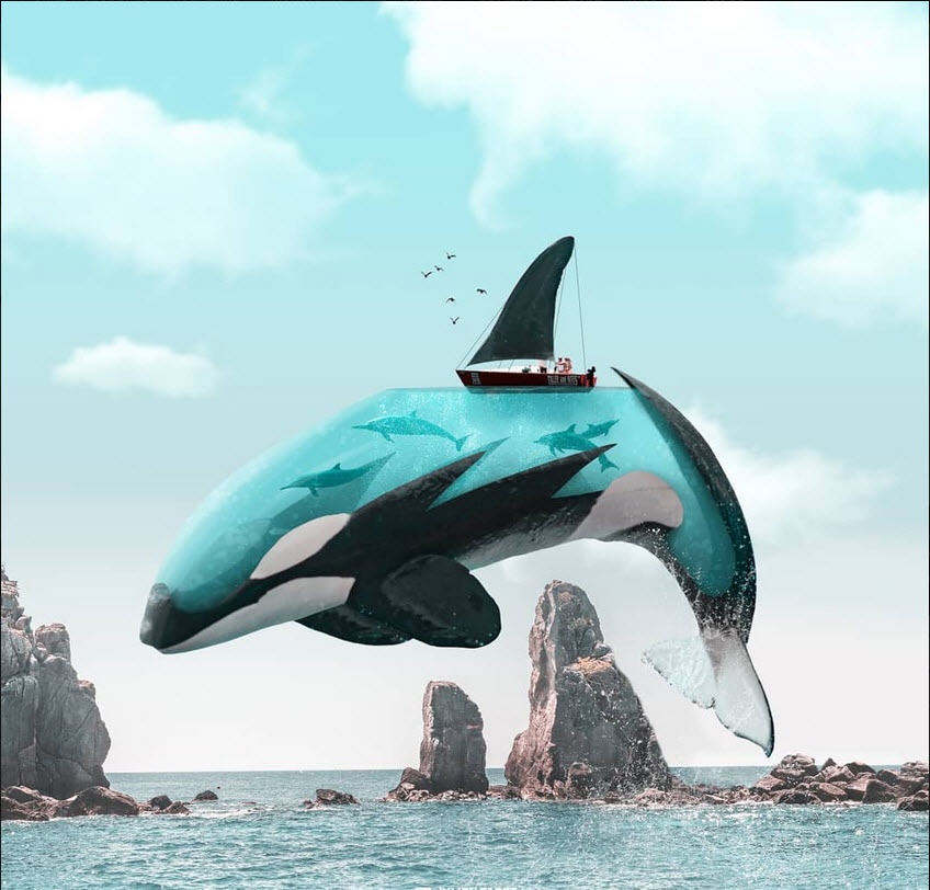 ���������