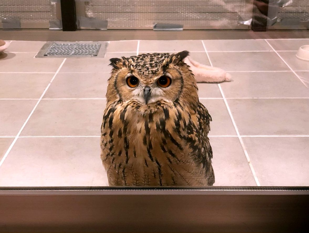 ���������