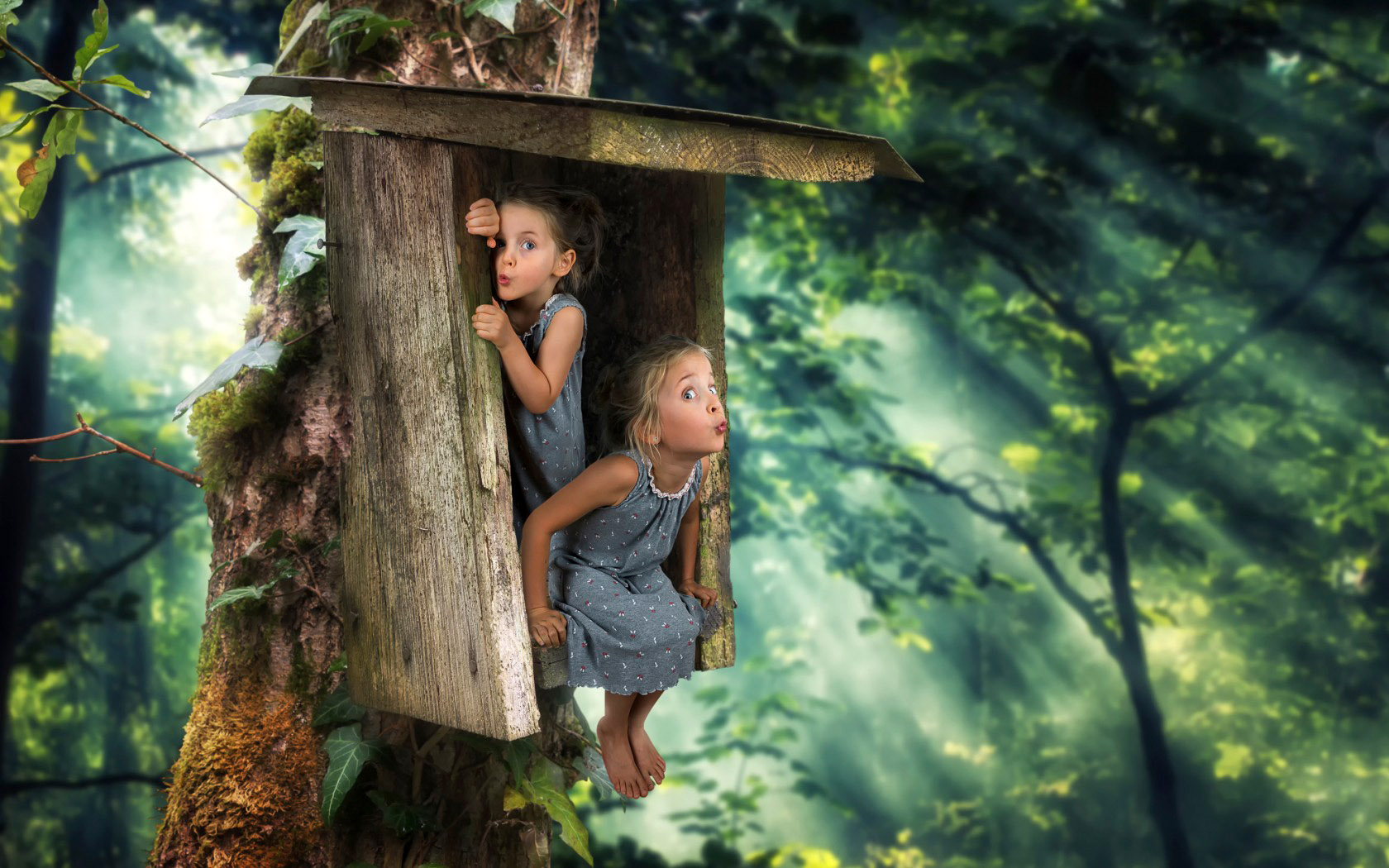 ���������