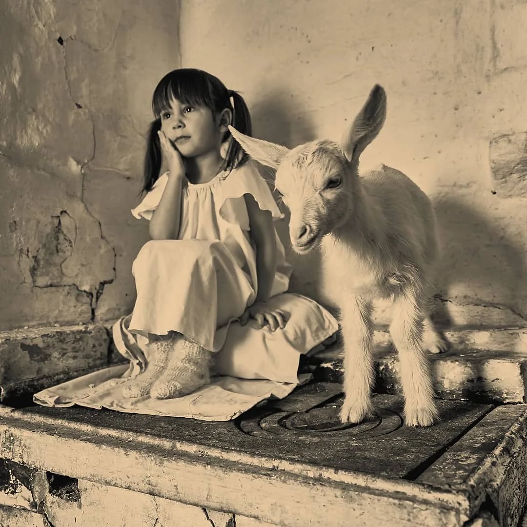 ���������