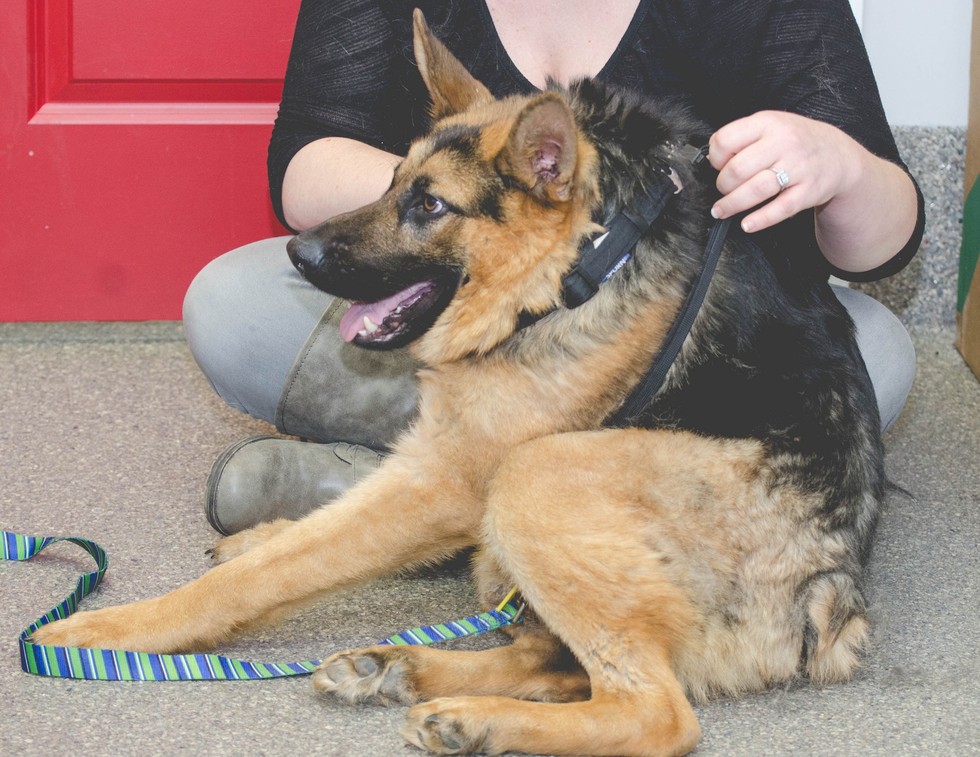 ���������