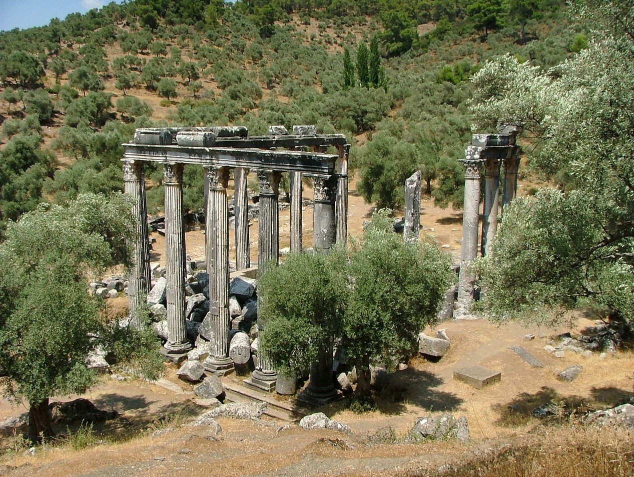 ���������