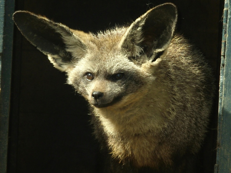 ���������