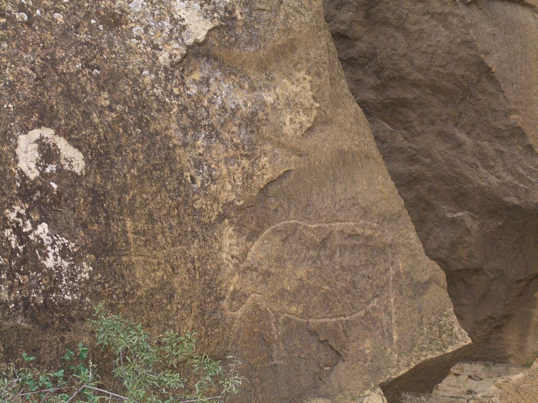 ���������