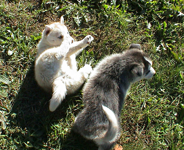 ���������