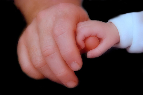 ���������