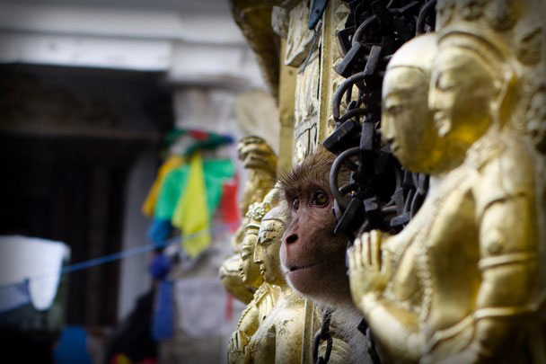 ���������