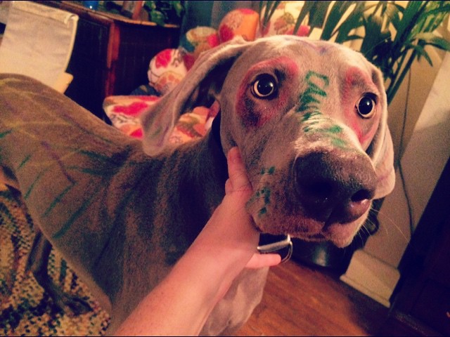 ���������