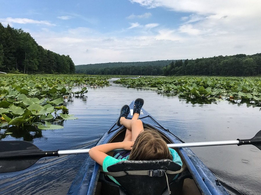 ���������