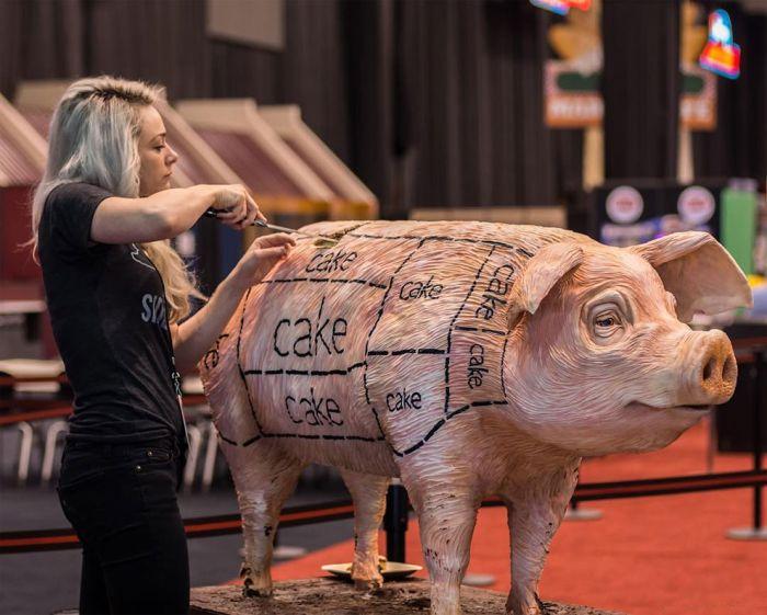 ���������