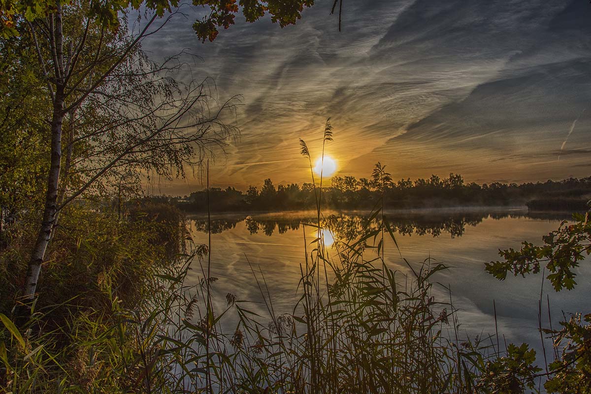 Увеличить Увеличить