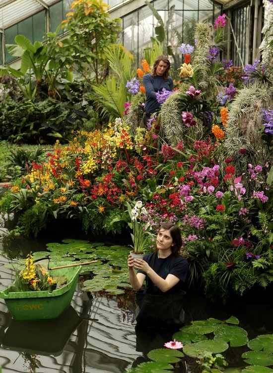 ���������