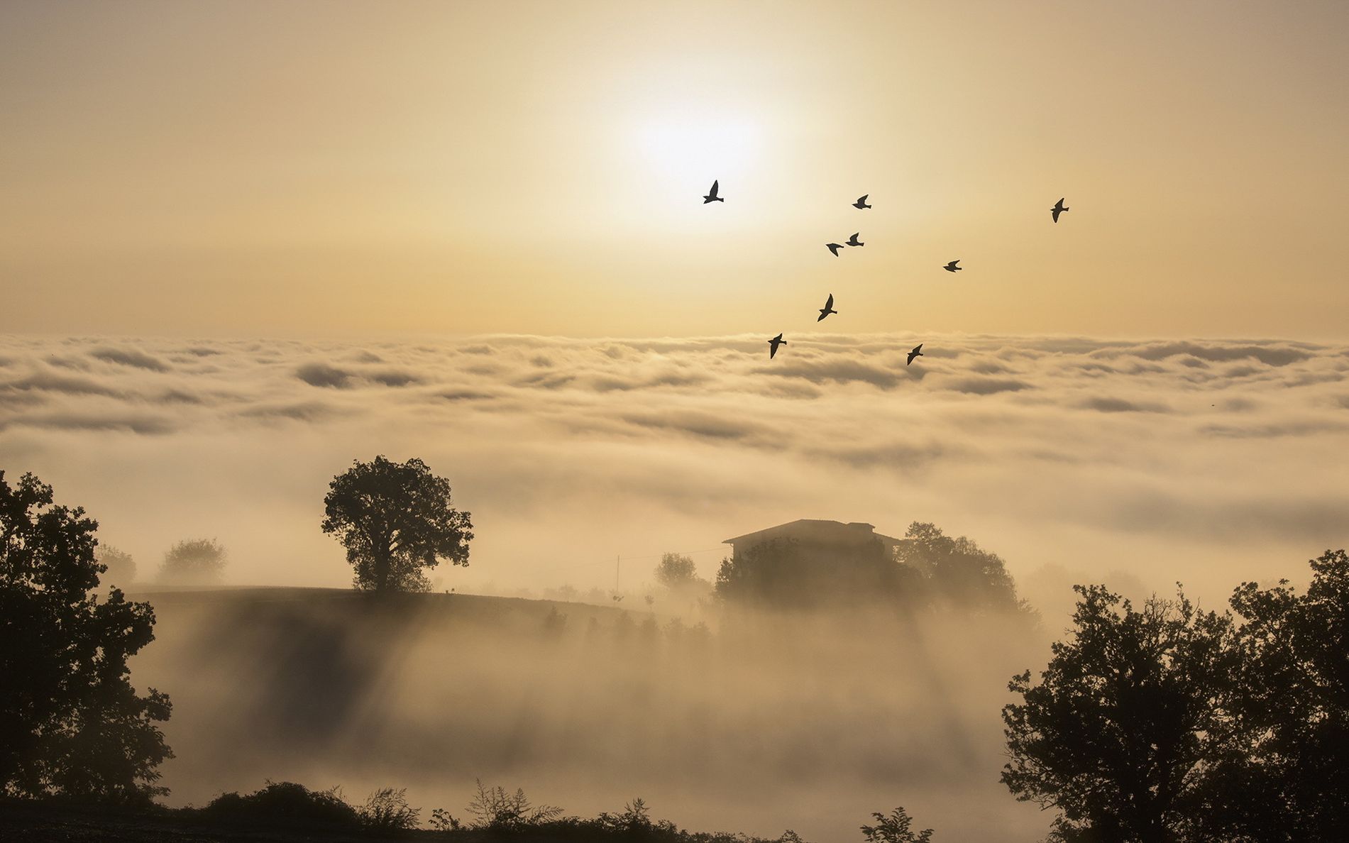 ���������