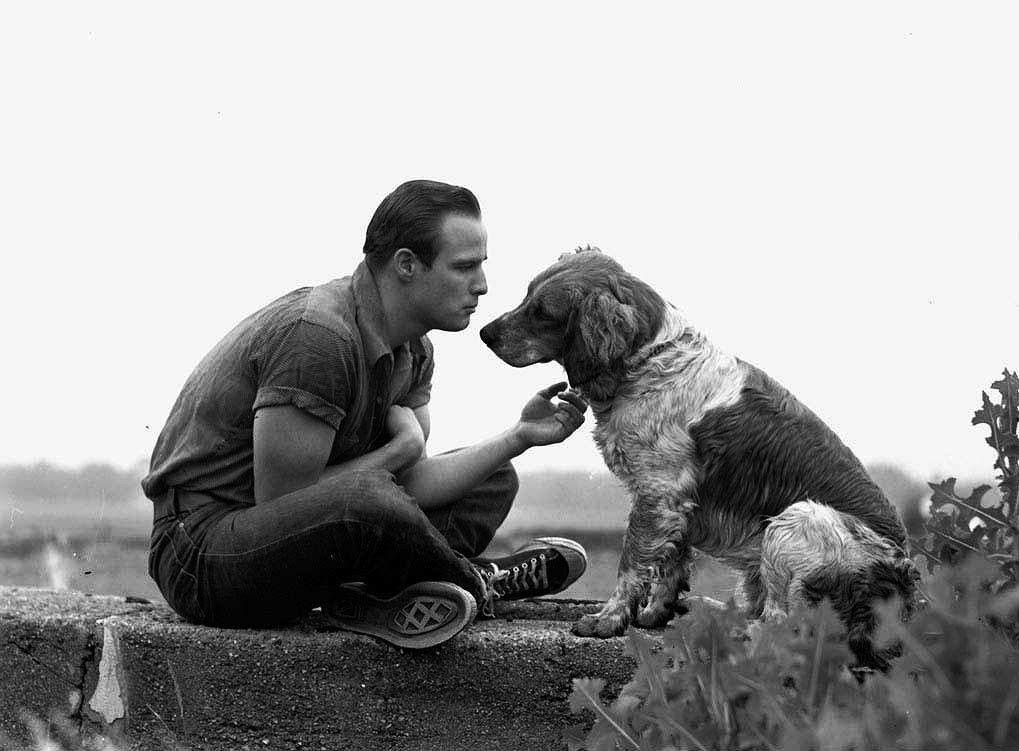 ���������