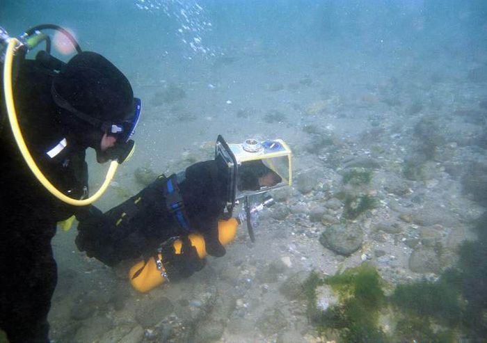 ���������