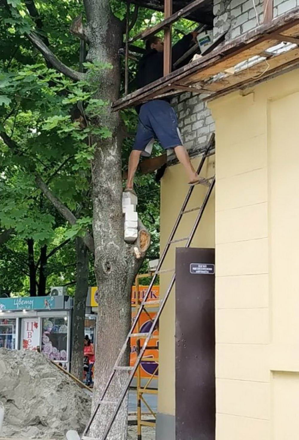 ���������