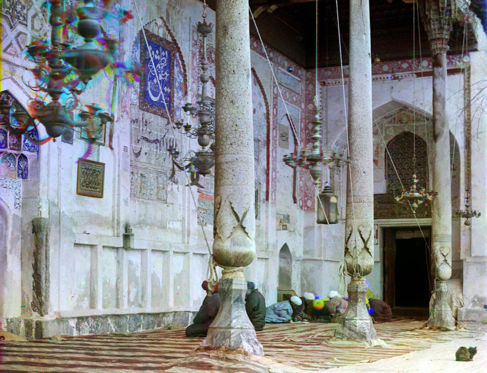 ���������