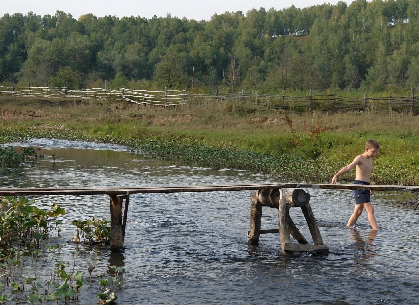 ���������