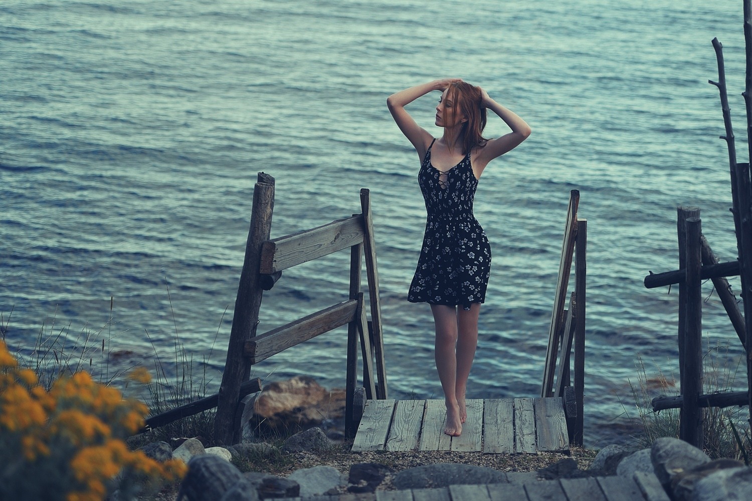 ���������