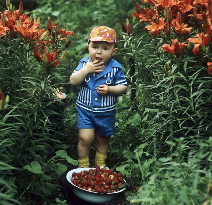 ���������