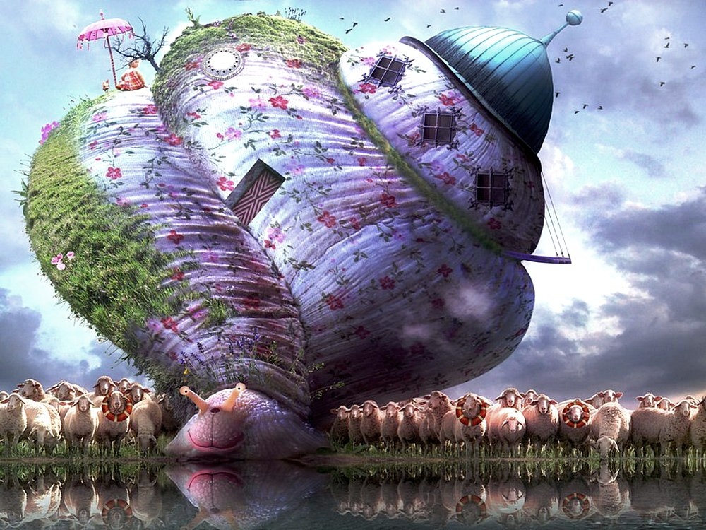 ���������