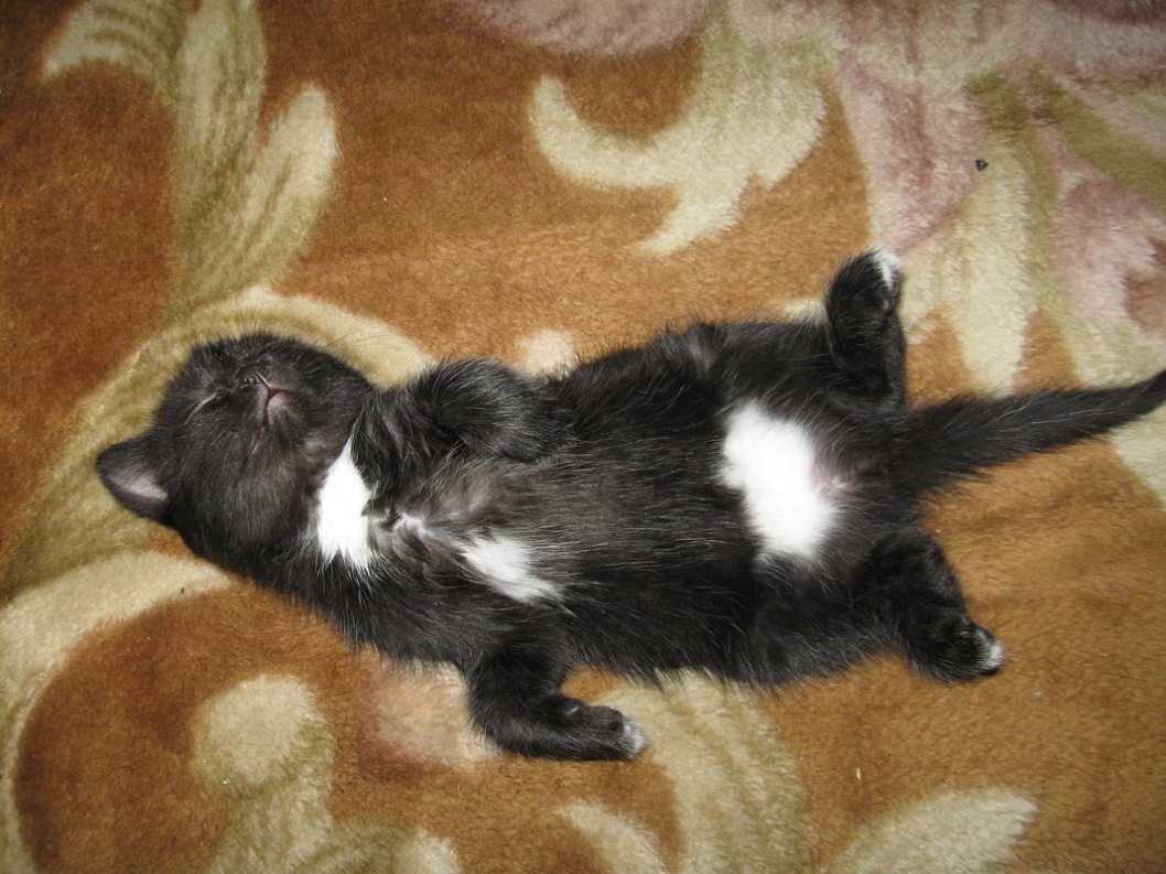 ���������