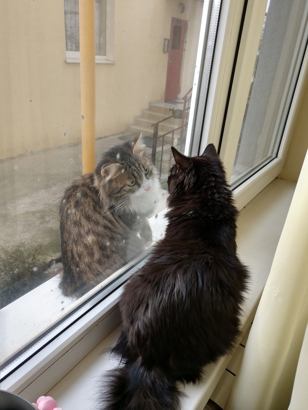 ���������