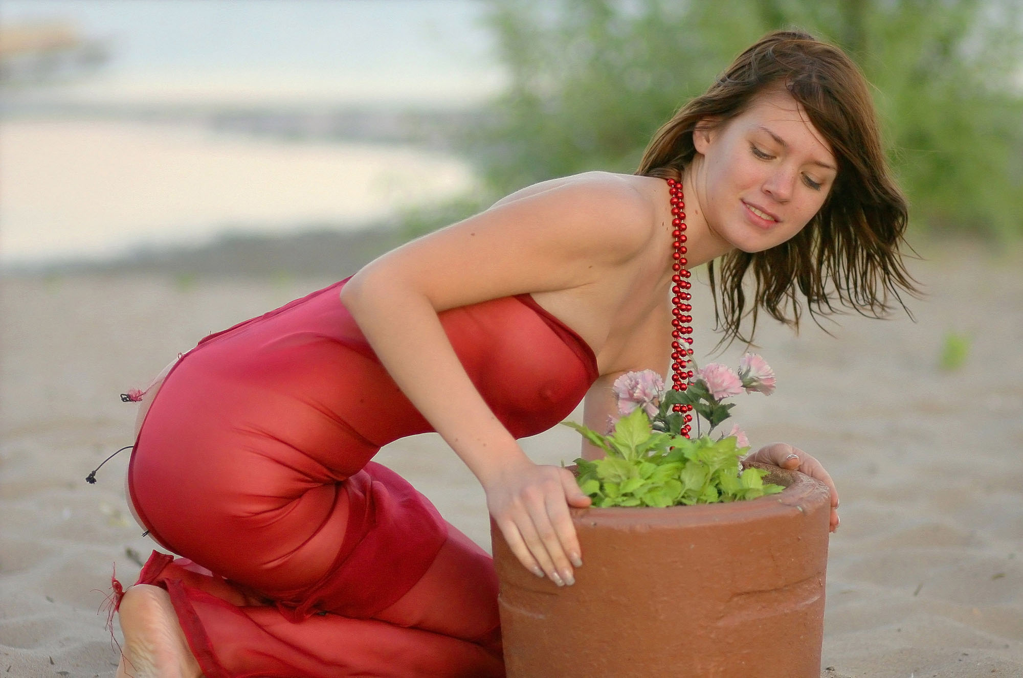 ���������