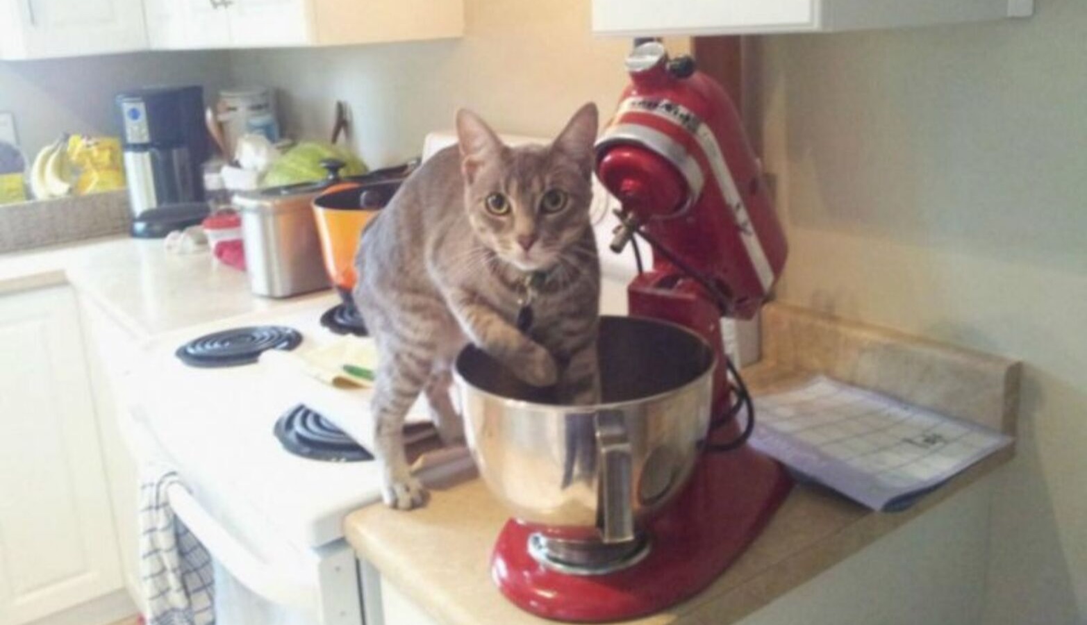 ���������