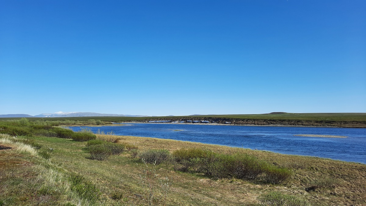 ���������