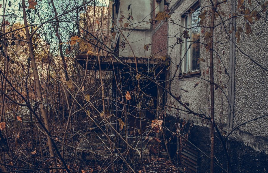 ���������