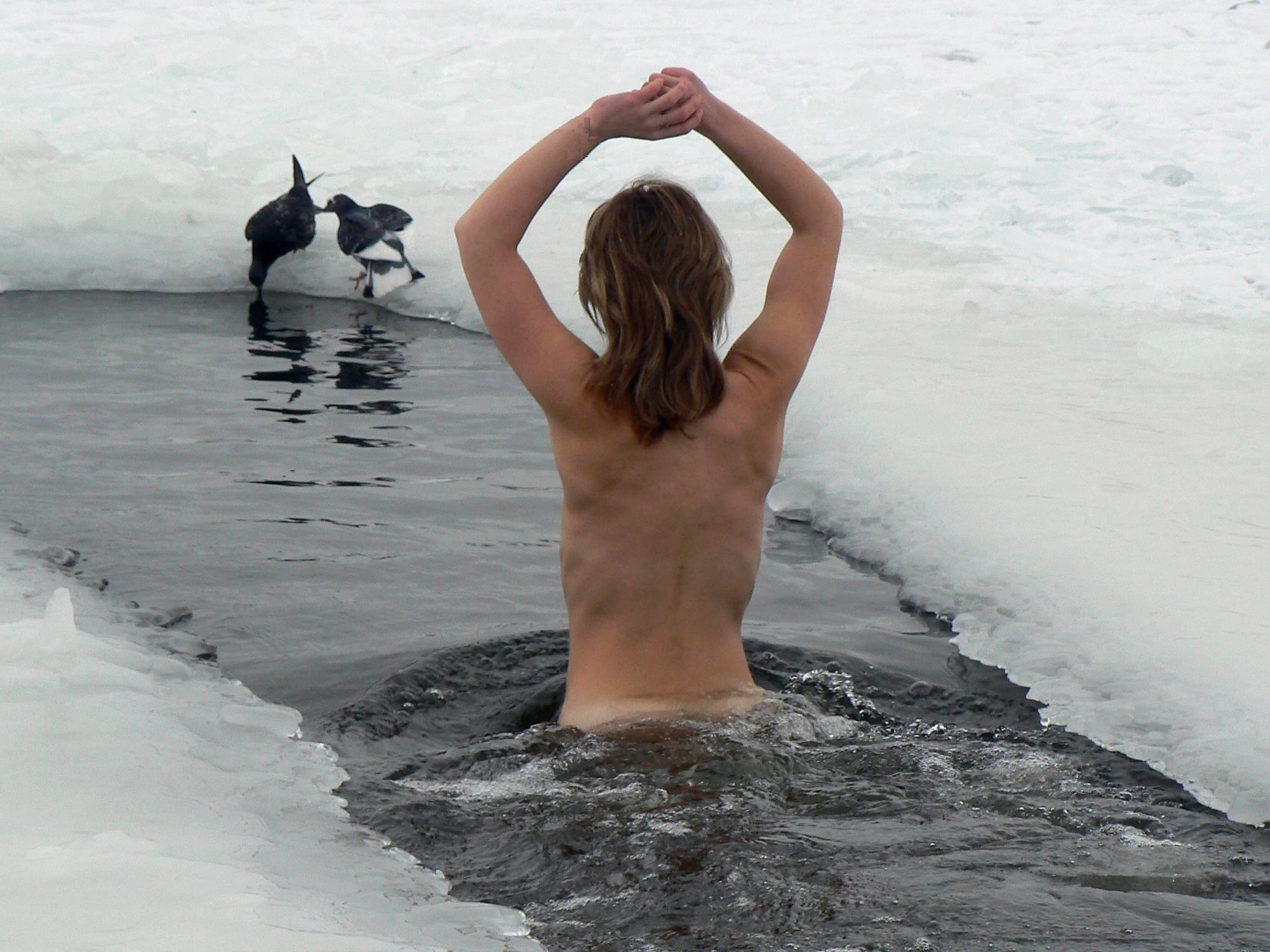 ���������