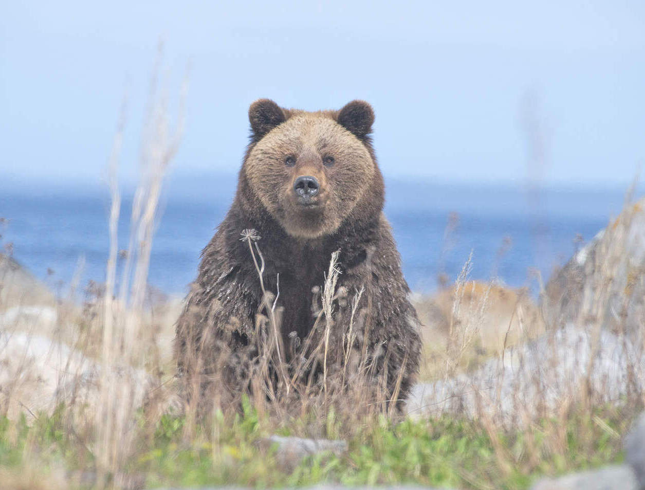 ���������