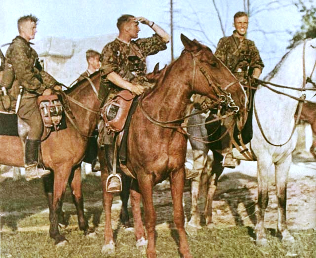 ���������