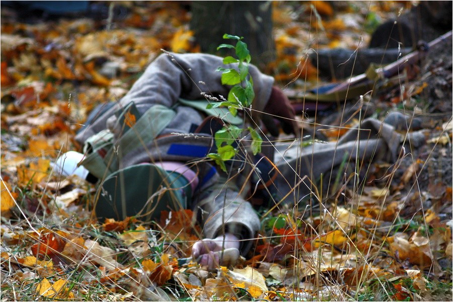 ���������